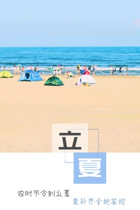 立夏节气椰树玻璃瓶海边摄影公众号配图