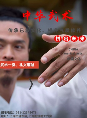中华文化 武术 宣传