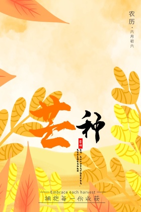 芒种麦子公众号封面配图