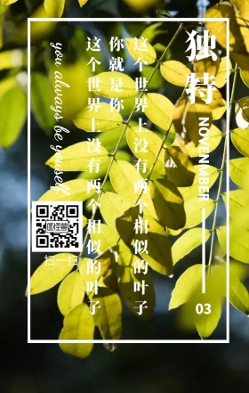 独特叶子励志日签