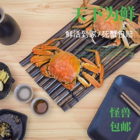 简约大闸蟹主图直通车钻展电商淘宝天猫