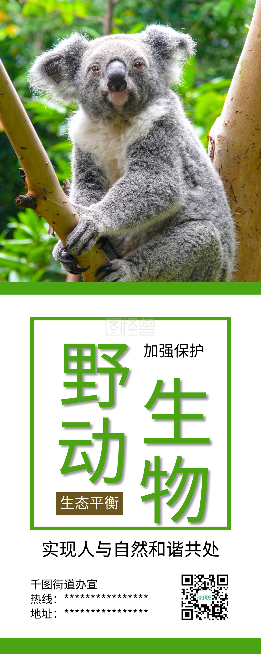 简约保护野生动物树袋熊公益宣传展架