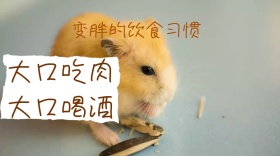 胖子减肥大口吃肉大口喝酒公众号封面