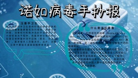 诺如病毒手抄报医疗