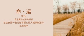 麦穗公众号封面
