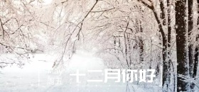 12月你好微博焦点图