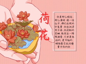 赞美荷花心情语录绿色简约配图