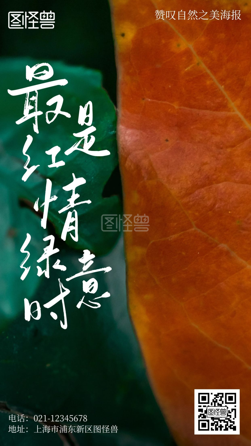 自然风-赞叹自然之美摄影简约风手机海报在线图片制作-图怪兽
