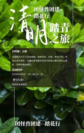 清明节踏青公司团建插画风手机海报