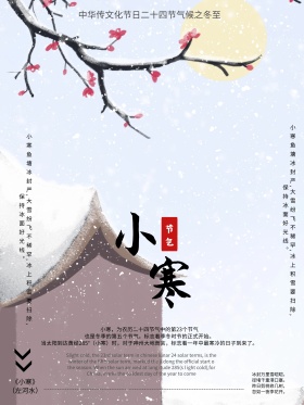剪纸风格唯美小清新二十四节气小寒海报设计