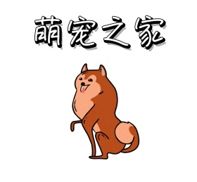 萌宠之家红色狗朋友圈封面
