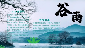 绿色清新谷雨传统节气手抄报