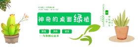 绿色文艺小清新多肉植物淘宝banner电商海报