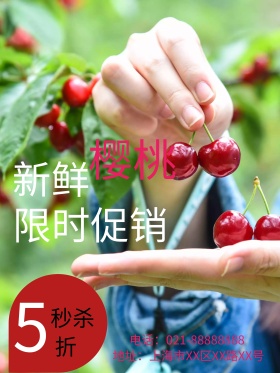 樱桃水果促销海报