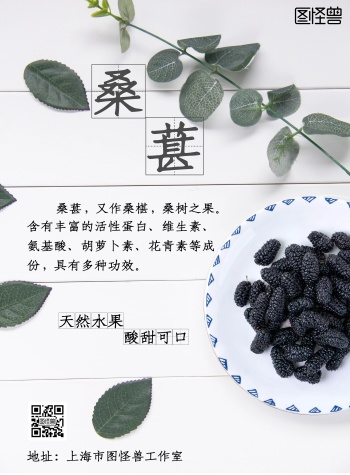 桑葚科普小知识简约竖版海报
