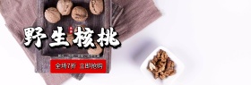 绿色清新坚果野生核桃美食电商banner