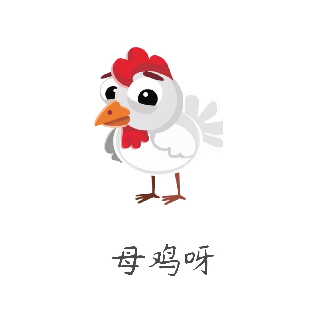 母鸡