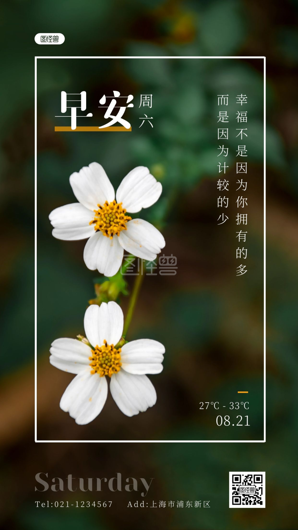 文艺风8月每日一签早安周六日签
