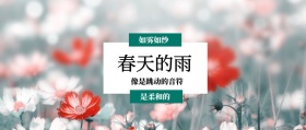 春天的雨 是柔和的 如雾如纱 像是跳动的音符 春季春天你好公众号封面