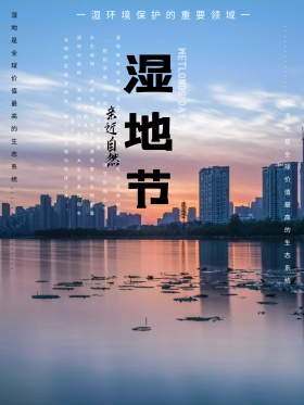 原创简约小清新湿地节海报设计