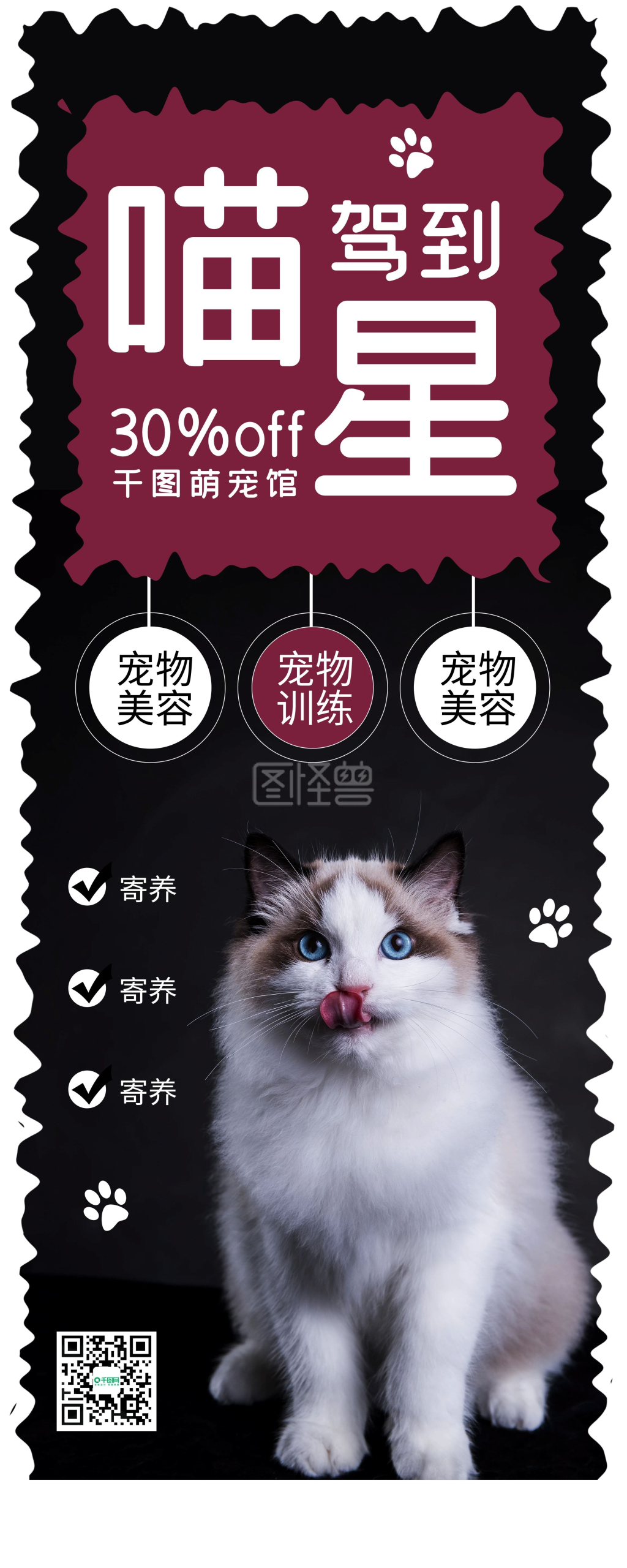 时尚简约布偶猫猫咪宠物店易拉宝x展架