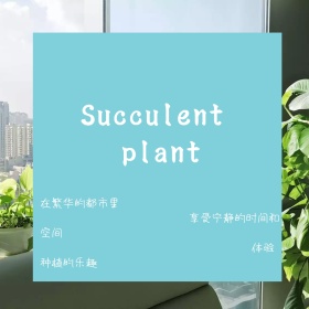 青色摄影种植技能家居促销公众号正方形配图