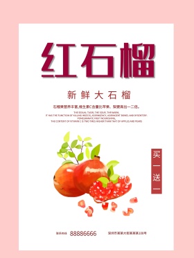 秋季水果石榴海报