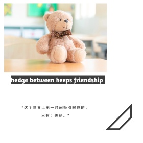心情语录时尚公众号封面图模版