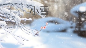 小雪清新简约传统节气公众号封面模版