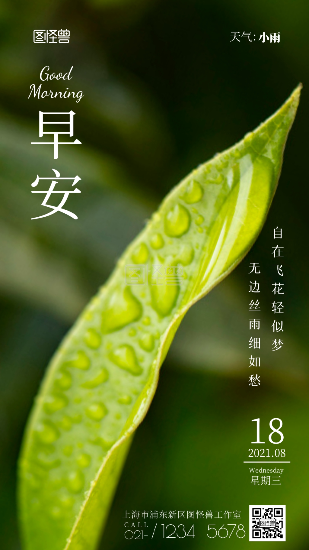 早安小雨树叶白色简约风摄影图海报
