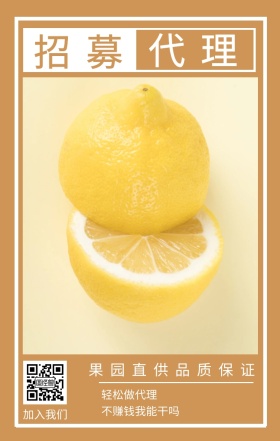 招募 代理 加入我们 轻松做代理 不赚钱我能干吗 果园直供品质保证 水果招募代理简约手机海报