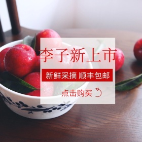 新鲜李子淘宝水果直通车主图