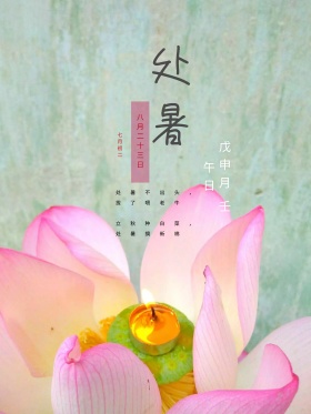 二十四节气处暑简约清新荷花海报