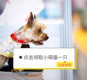 点击领取小萌猫一只