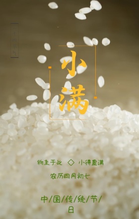 中国传统节日二十四节气小满手机海报