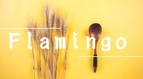 红色时尚旅行火烈鸟红包公众号封面