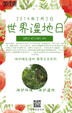  绿色科普保护湿地环保手机海报