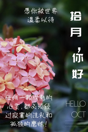 十月你好简约愿你被温柔以待公众号配图