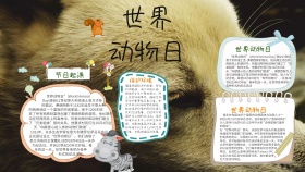 世界动物日保护动物手抄报