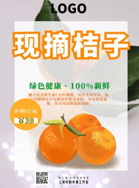 新鲜桔子鲜美多汁秋冬果蔬海报