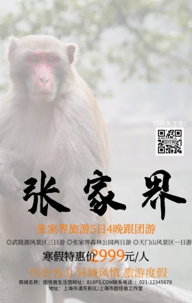 观光旅游张家界登山简约手机海报