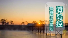 海岛控公众号封面