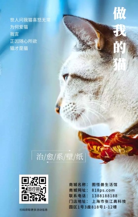 猫咪简约文艺慵懒萌宠海报