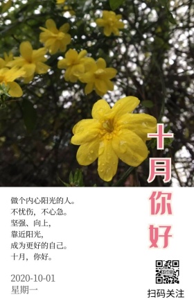 书花朵文艺极简十月问候简约早安心语日签