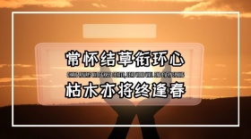 夫妻情感亲情年迈巷口公众号封面模版