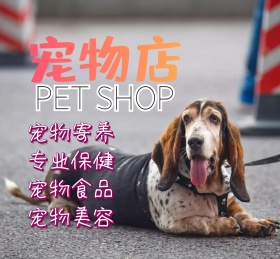 萌宠宠物可爱动物朋友圈封面