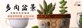 浅色桌面多肉小盆景满减特惠五折起促销海报banner电商淘宝