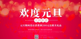 欢度元旦横版海报