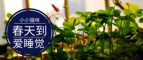 简约卡通公众号封面春困