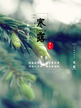 原创寒露季节海报设计